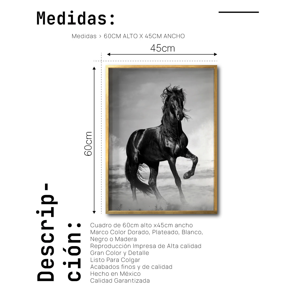 Cuadro Decorativo Caballos 023