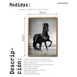Cargar imagen en el visor de la galería, Cuadro Decorativo Caballos 023
