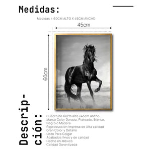 Cuadro Decorativo Caballos 023