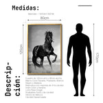 Cargar imagen en el visor de la galería, Cuadro Decorativo Caballos 023
