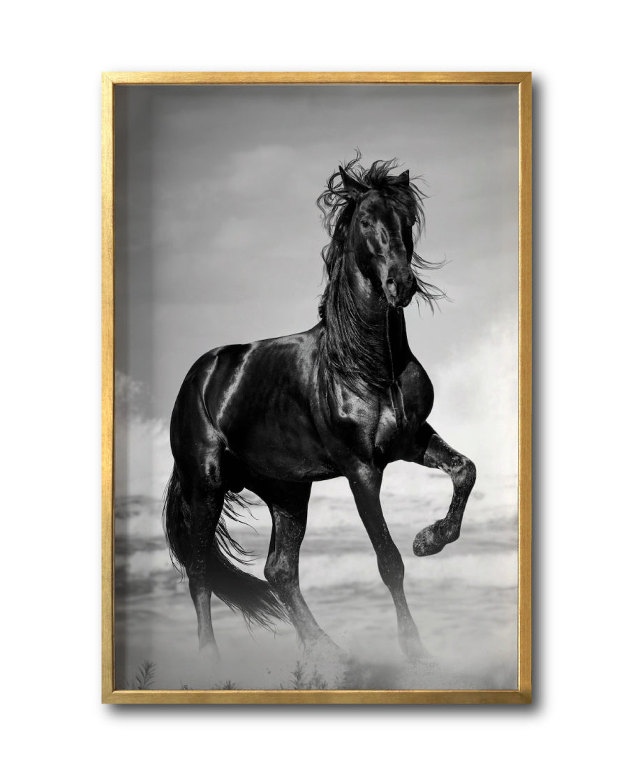 Cuadro Decorativo Caballos 023