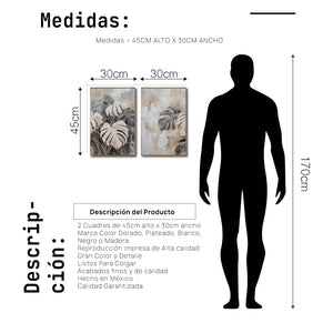 Set Cuadros Decorativos Abstracto Negro Arena 2 - 249 - Diptico Botanico Monsteras Arte Moderno Estilo Boho en Tonos Neutros