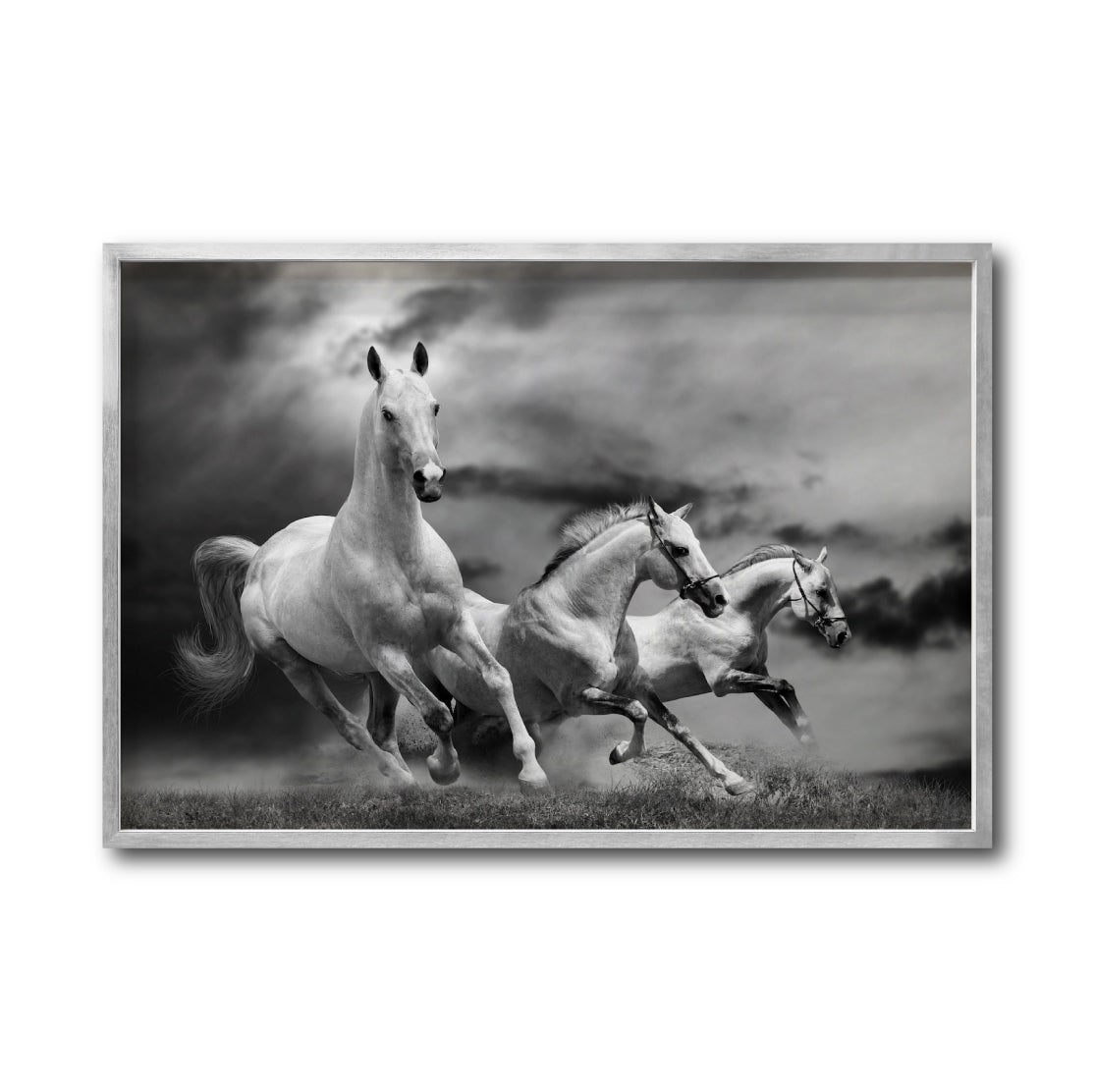 Cuadro Decorativo Caballos 024