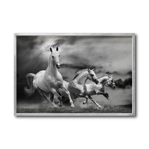 Cuadro Decorativo Caballos 024