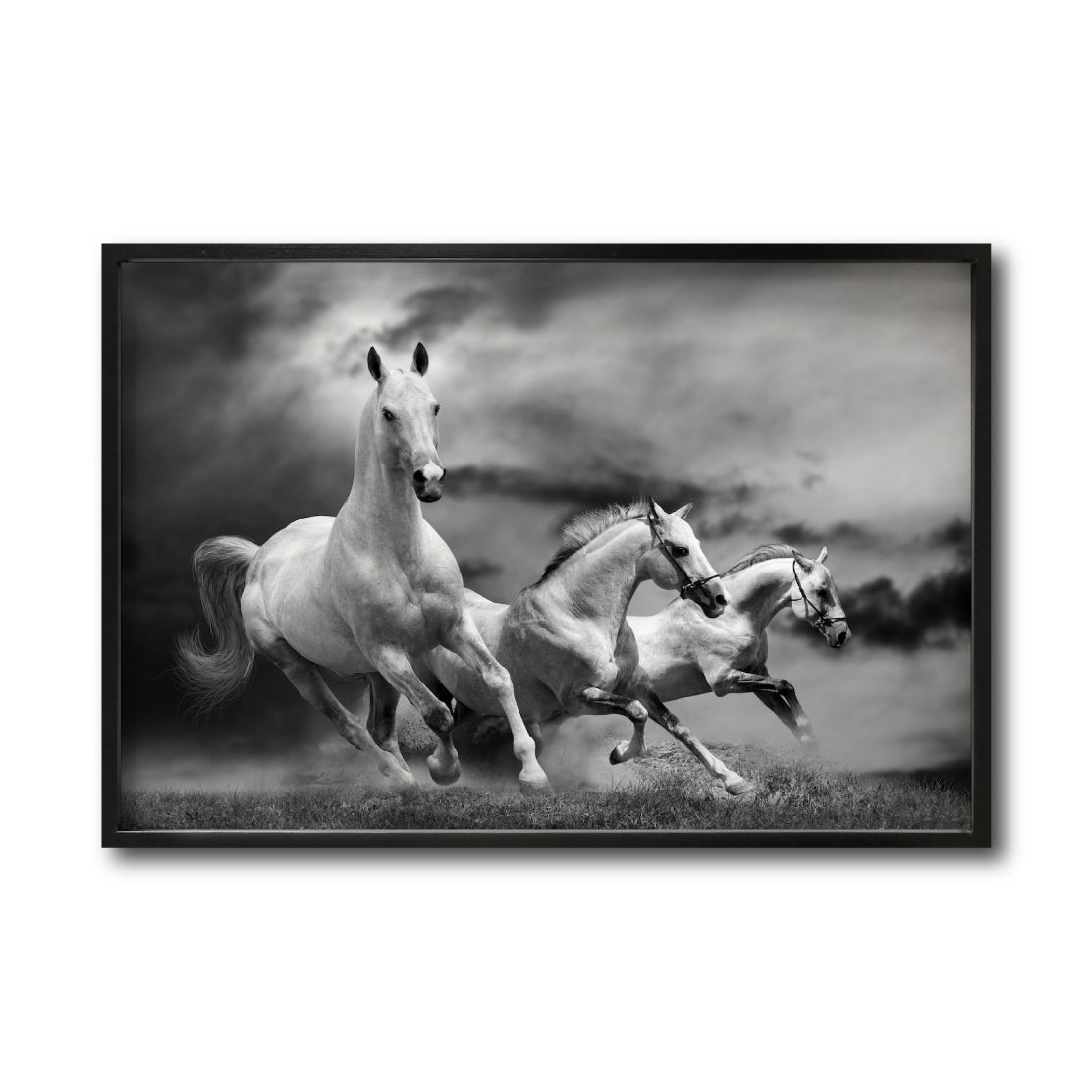 Cuadro Decorativo Caballos 024