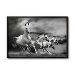 Cargar imagen en el visor de la galería, Cuadro Decorativo Caballos 024
