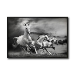 Cuadro Decorativo Caballos 024