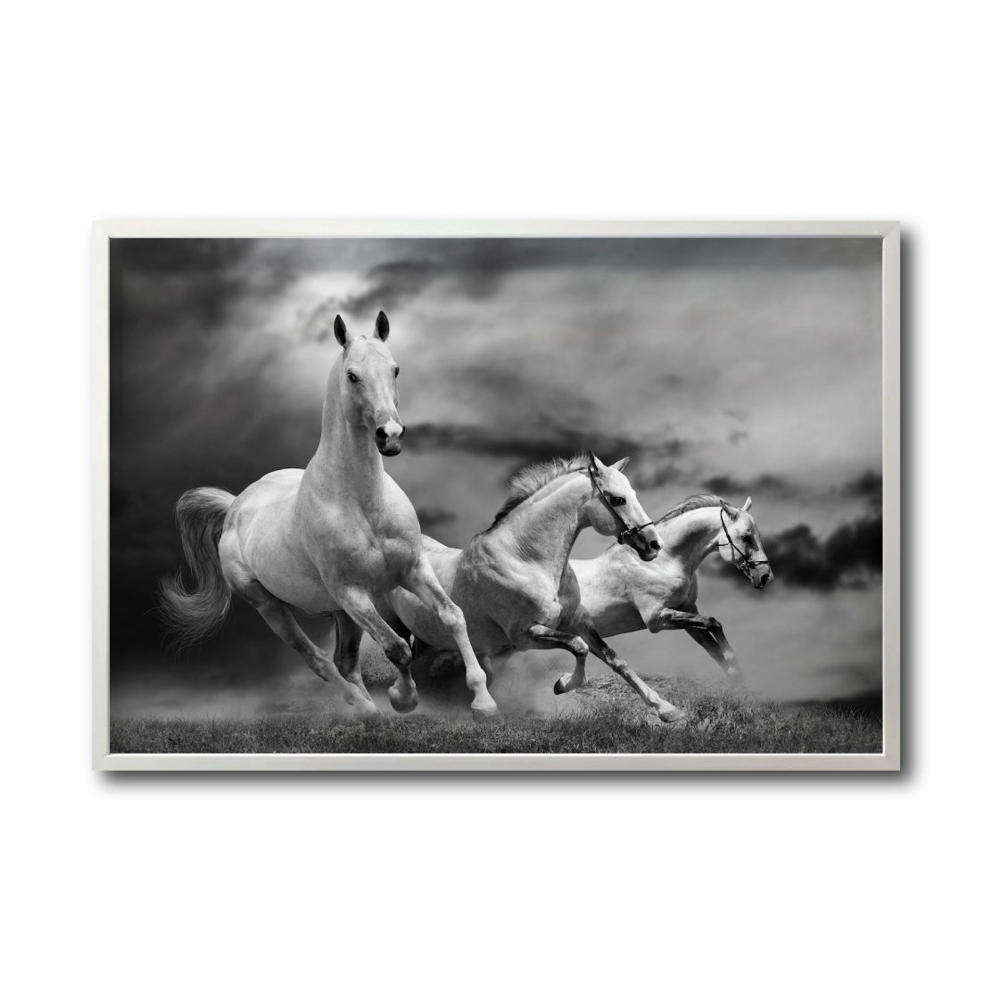 Cuadro Decorativo Caballos 024
