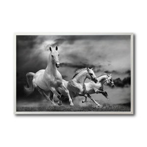 Cuadro Decorativo Caballos 024