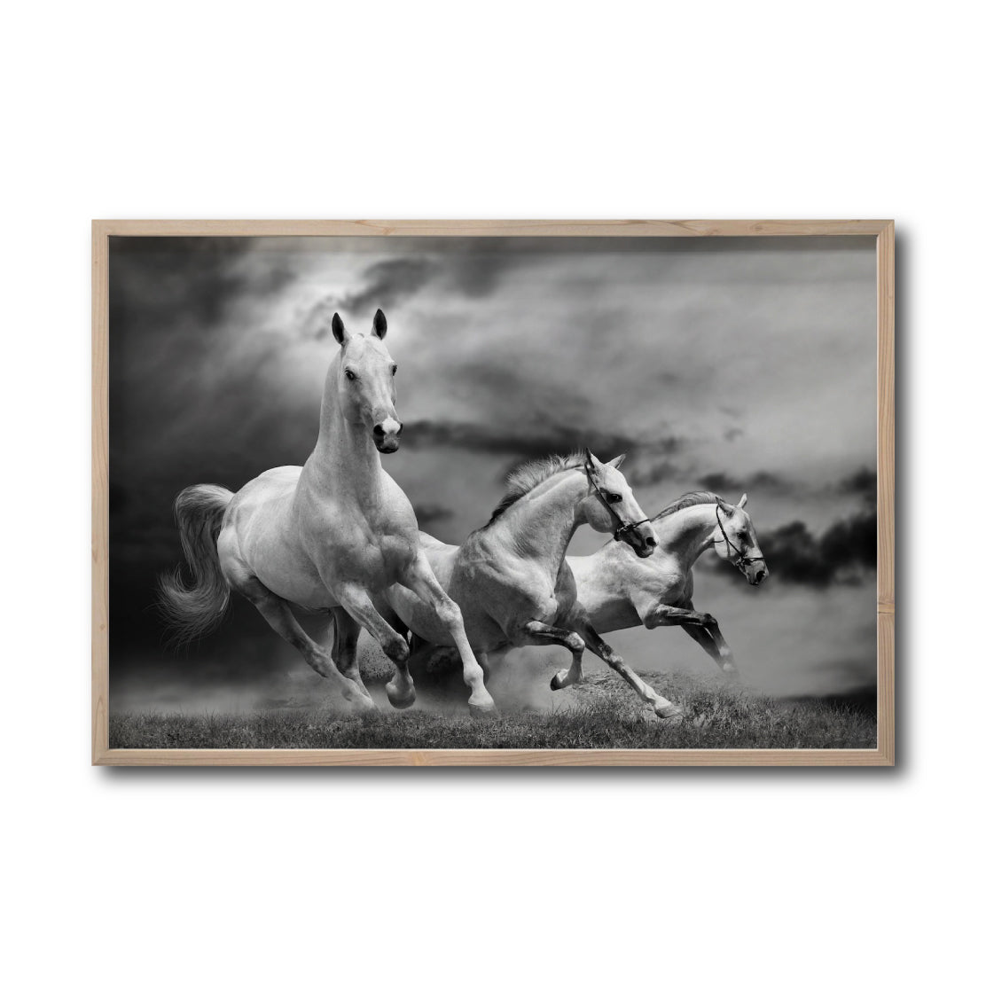 Cuadro Decorativo Caballos 024