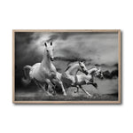 Cargar imagen en el visor de la galería, Cuadro Decorativo Caballos 024
