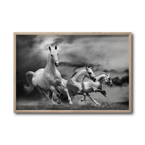 Cuadro Decorativo Caballos 024