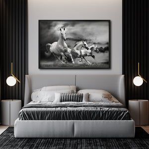 Cuadro Decorativo Caballos 024