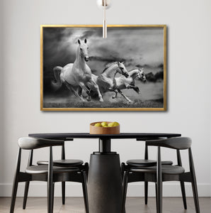 Cuadro Decorativo Caballos 024
