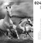 Cargar imagen en el visor de la galería, Cuadro Decorativo Caballos 024
