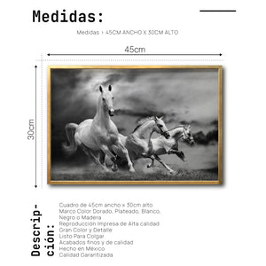 Cuadro Decorativo Caballos 024