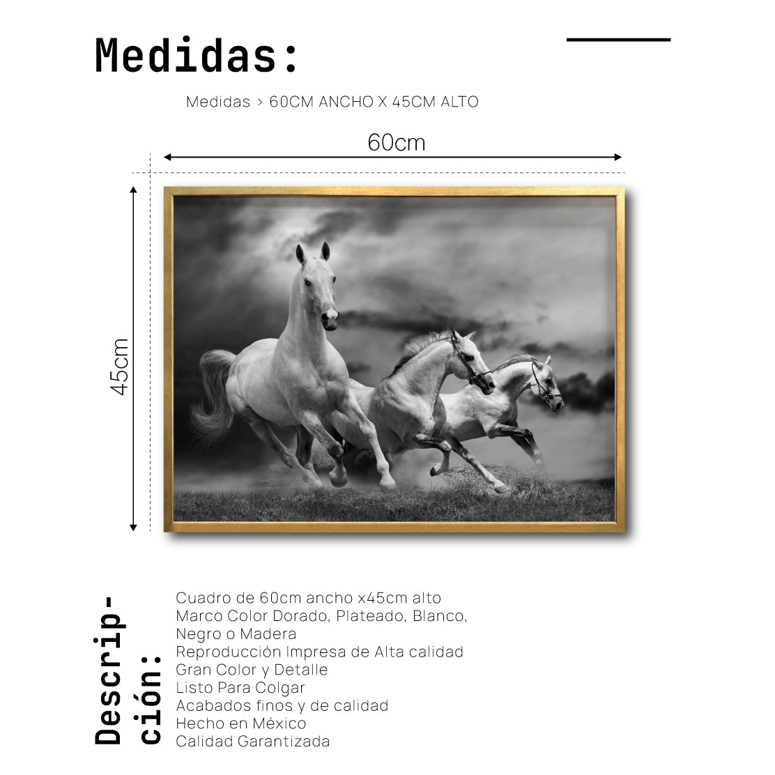 Cuadro Decorativo Caballos 024
