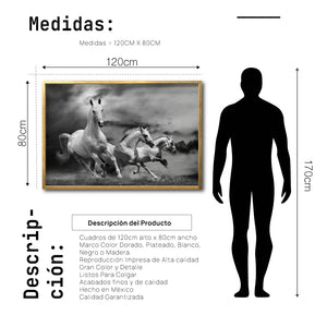 Cuadro Decorativo Caballos 024