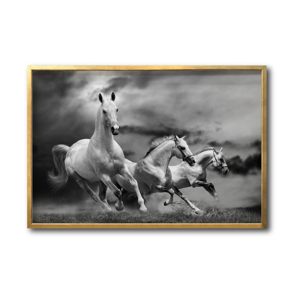 Cuadro Decorativo Caballos 024