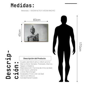 Cuadro Decorativo - Zen 024 - Buda en Meditación