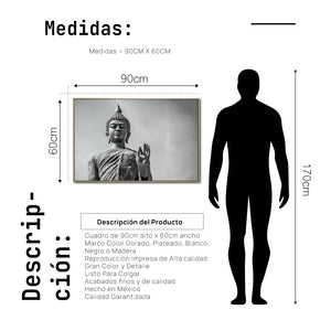 Cuadro Decorativo - Zen 024 - Buda en Meditación