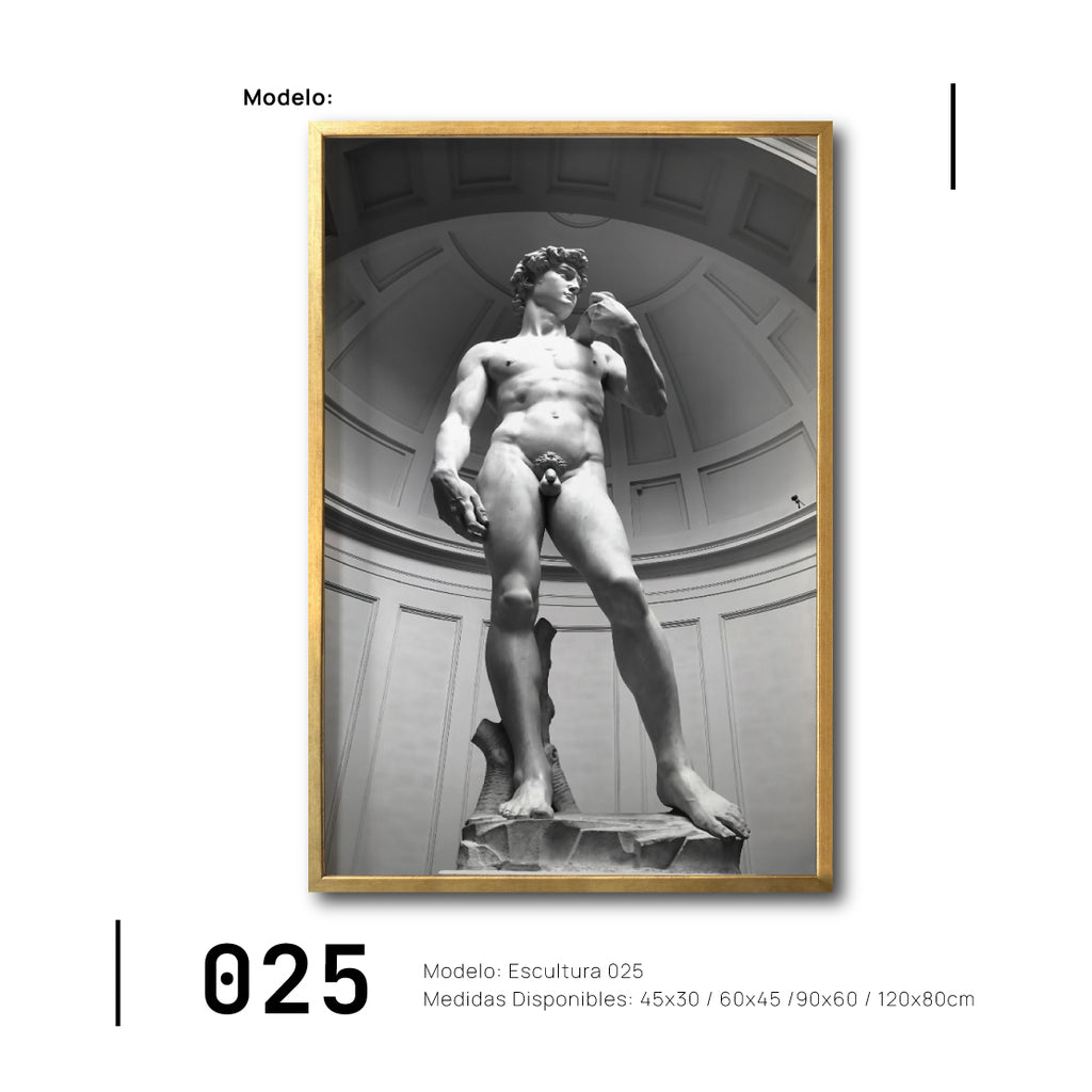 Compra cuadros decorativos Canvas de escultura El David de Miguel ángel originales para sala 