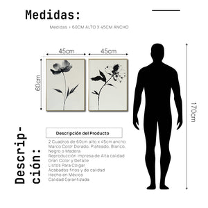 Set Cuadros Decorativos Abstracto Negro Arena 2 - 252 - Diptico Arte Moderno y Elegante Flores Estilo Nordico en Beige y Negro