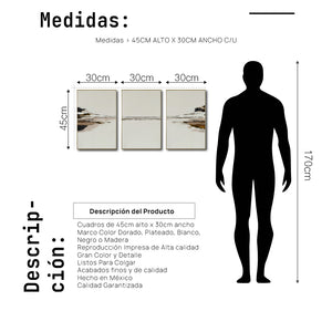 Set Cuadros Decorativos Abstracto Negro Arena 2-257 - Tríptico  Minimalista Arte Moderno y Elegante Estilo Nordico en Tonos Neutros