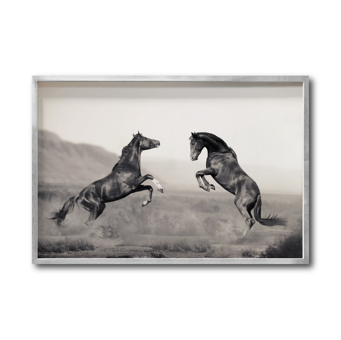 Cuadro Decorativo Caballos 025
