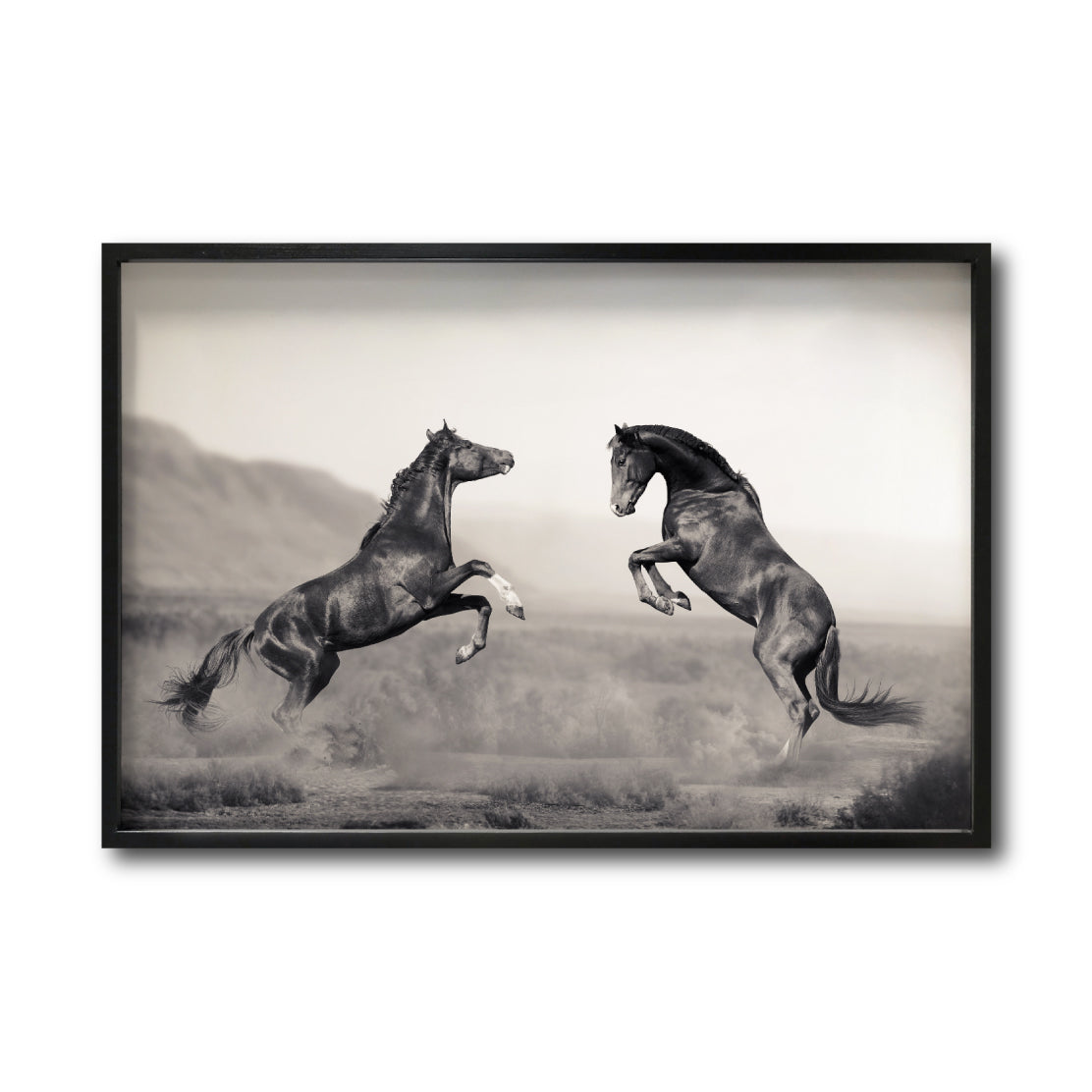 Cuadro Decorativo Caballos 025