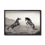 Cargar imagen en el visor de la galería, Cuadro Decorativo Caballos 025
