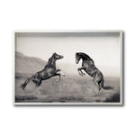 Cargar imagen en el visor de la galería, Cuadro Decorativo Caballos 025
