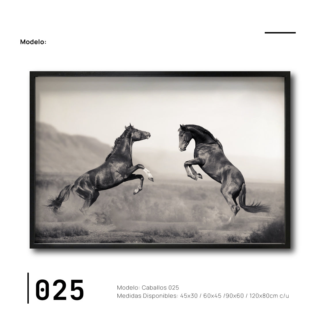 Cuadros decorativos de Arte de Caballos para tu recámara. Galería 314. Caballos confrontándose.