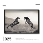 Cargar imagen en el visor de la galería, Cuadros decorativos de Arte de Caballos para tu recámara. Galería 314. Caballos confrontándose.
