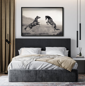 Cuadro Decorativo Caballos 025