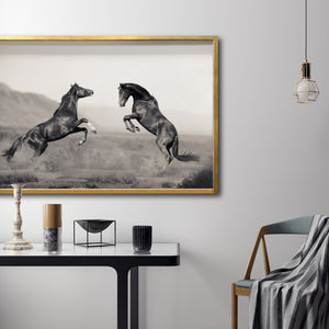 Cuadro Decorativo Caballos 025