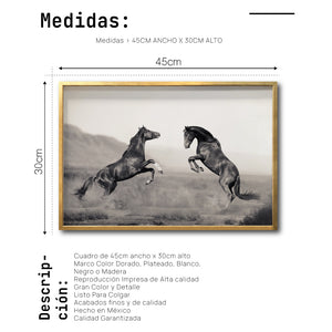Cuadro Decorativo Caballos 025