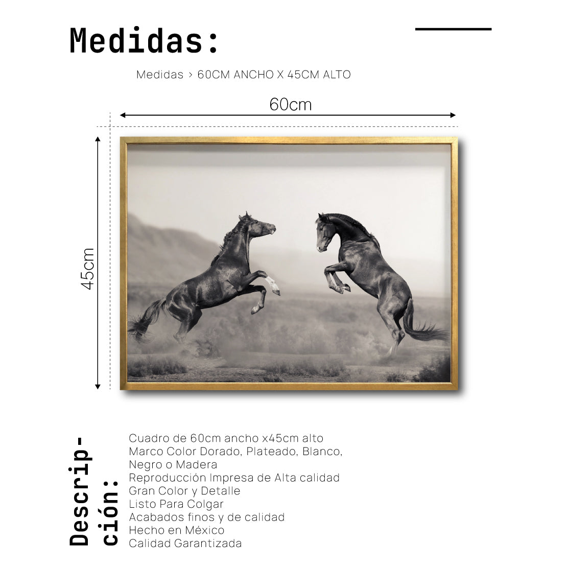 Cuadro Decorativo Caballos 025