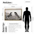 Cargar imagen en el visor de la galería, Cuadro Decorativo Caballos 025
