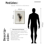 Cargar imagen en el visor de la galería, Cuadro Decorativo Abstracto Negro Arena 2 - 260 - Boceto de Caballo Negro Ate Moderno y Minimalista Estilo Nordico Tonos Neutros

