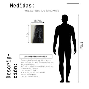 Cuadro Decorativo Abstracto Negro Arena 2-262 - Caballo Negro Arte Moderno Estilo Boho en tonos Neutros