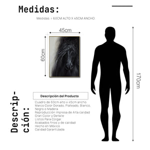Cuadro Decorativo Abstracto Negro Arena 2-262 - Caballo Negro Arte Moderno Estilo Boho en tonos Neutros