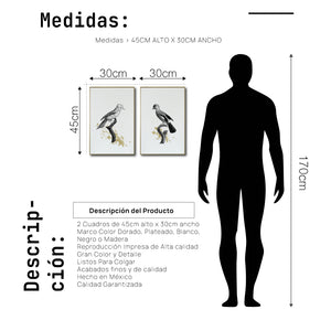 Set Cuadros Decorativos Abstracto Negro Arena 2 - 264 - Diptico Boceto de Pájaros Arte de Aves En Blanco, Negro y Dorado Oro