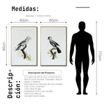 Cargar imagen en el visor de la galería, Set Cuadros Decorativos Abstracto Negro Arena 2 - 264 - Diptico Boceto de Pájaros Arte de Aves En Blanco, Negro y Dorado Oro
