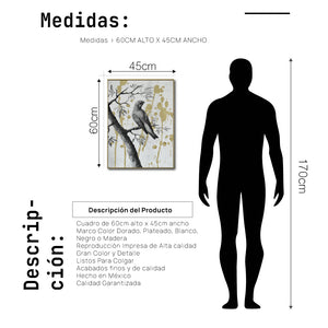 Cuadro Decorativo Abstracto Negro Arena 2-266 - Perico, Loro, Aves En Blanco y Negro Arte Elegante con Dorado Oro