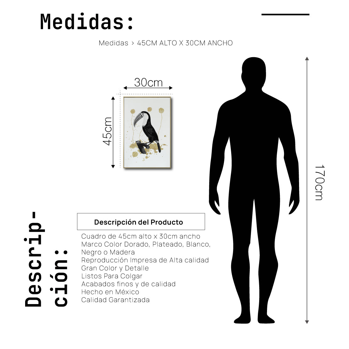 Cuadro Decorativo Abstracto Negro Arena 2-268 - Boceto de Tucan, Aves en Blanco, Negro y Dorado Oro Arte Moderno Estilo Boho