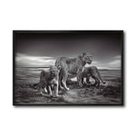 Cargar imagen en el visor de la galería, Cuadro Decorativo Fauna 026 - Leones Blanco y Negro
