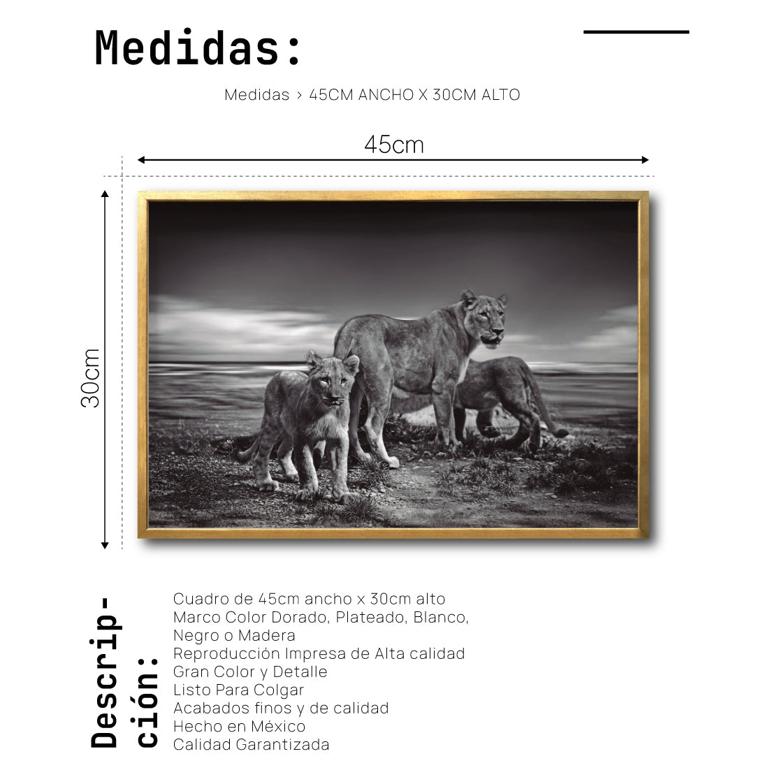 Cuadro Decorativo Fauna 026 - Leones Blanco y Negro