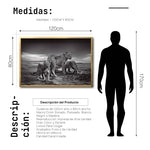 Cargar imagen en el visor de la galería, Cuadro Decorativo Fauna 026 - Leones Blanco y Negro
