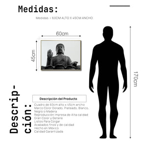 Cuadro Decorativo - Zen 026 - Buda en Meditación - Escultura